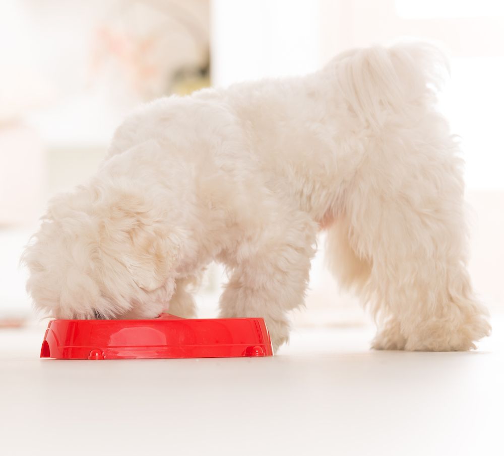 Question of the Week